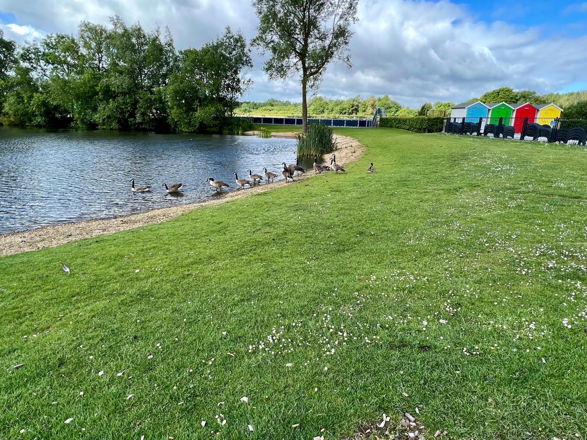 Reeds View Holiday Lodge South Cerney Eksteriør billede